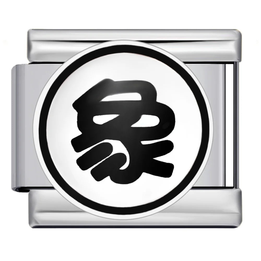 Chinese Chess Italian Charm 505