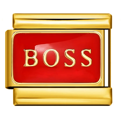 Gold Color Italian Charm Link 484