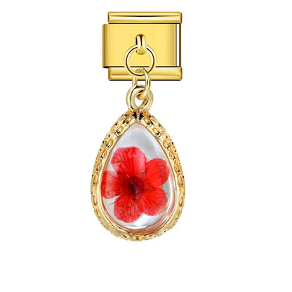 Pendant Italian Charm Links 243