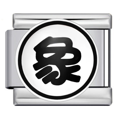 Chinese Chess Italian Charm 505